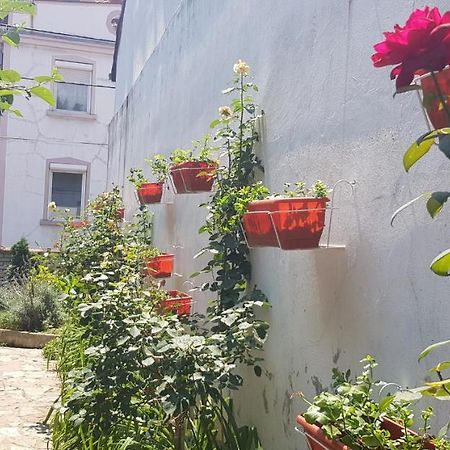 Garden Apartments Belgrade Luaran gambar