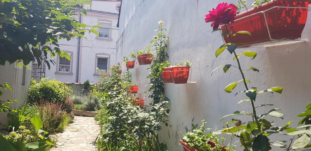 Garden Apartments Belgrade Luaran gambar