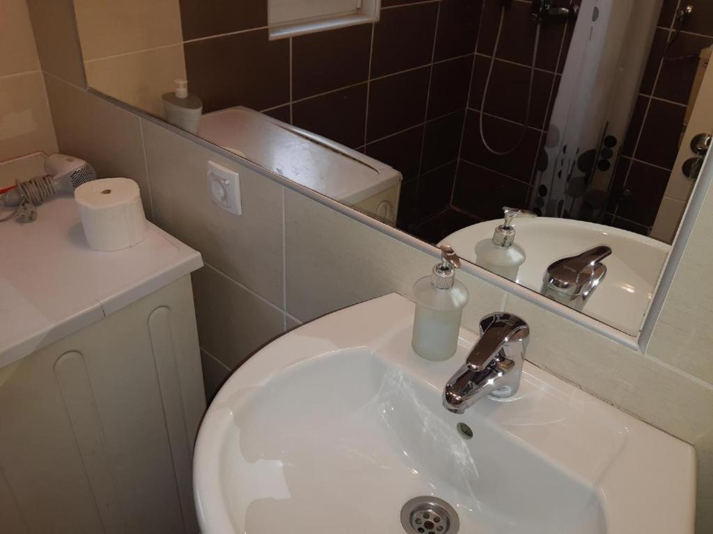 Garden Apartments Belgrade Luaran gambar