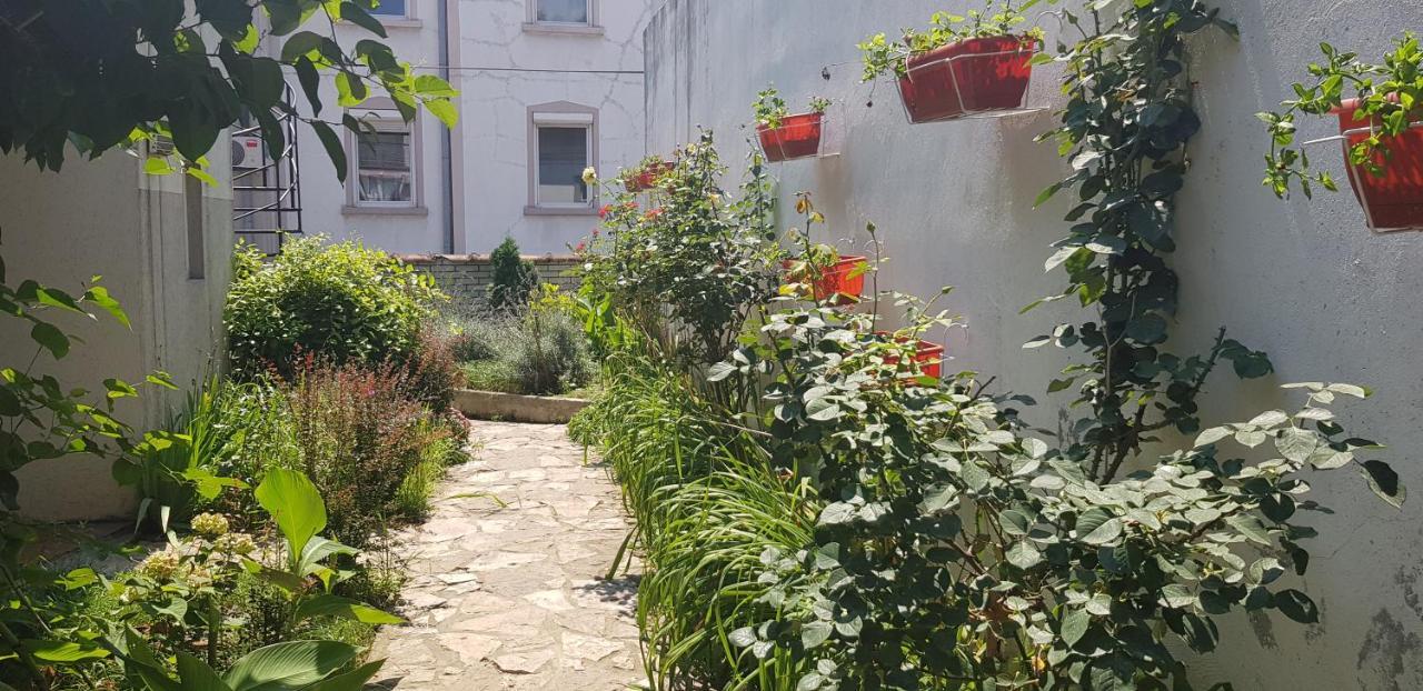 Garden Apartments Belgrade Luaran gambar