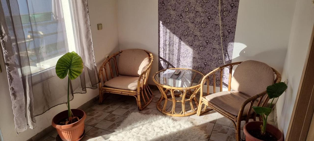 Garden Apartments Belgrade Luaran gambar